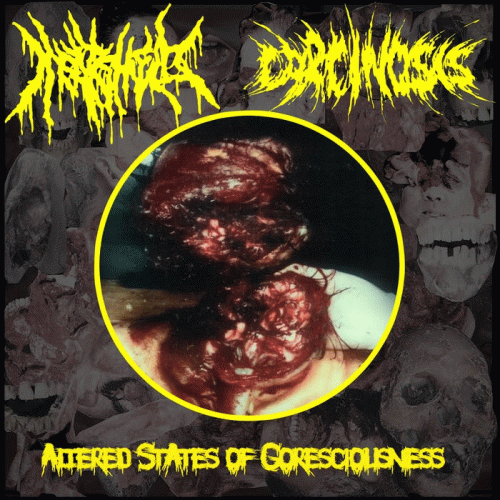 Meatshield : Altered States of Goresciousness Meatshield : Altered States of Goresciousness